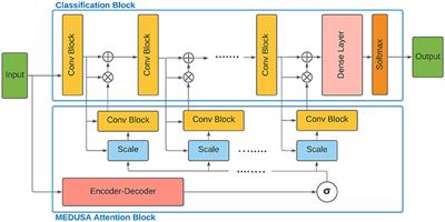 MEDUSA: Multi-Scale Encoder-Decoder Self-Attention Deep Neural Network Architecture for Medical Image Analysis